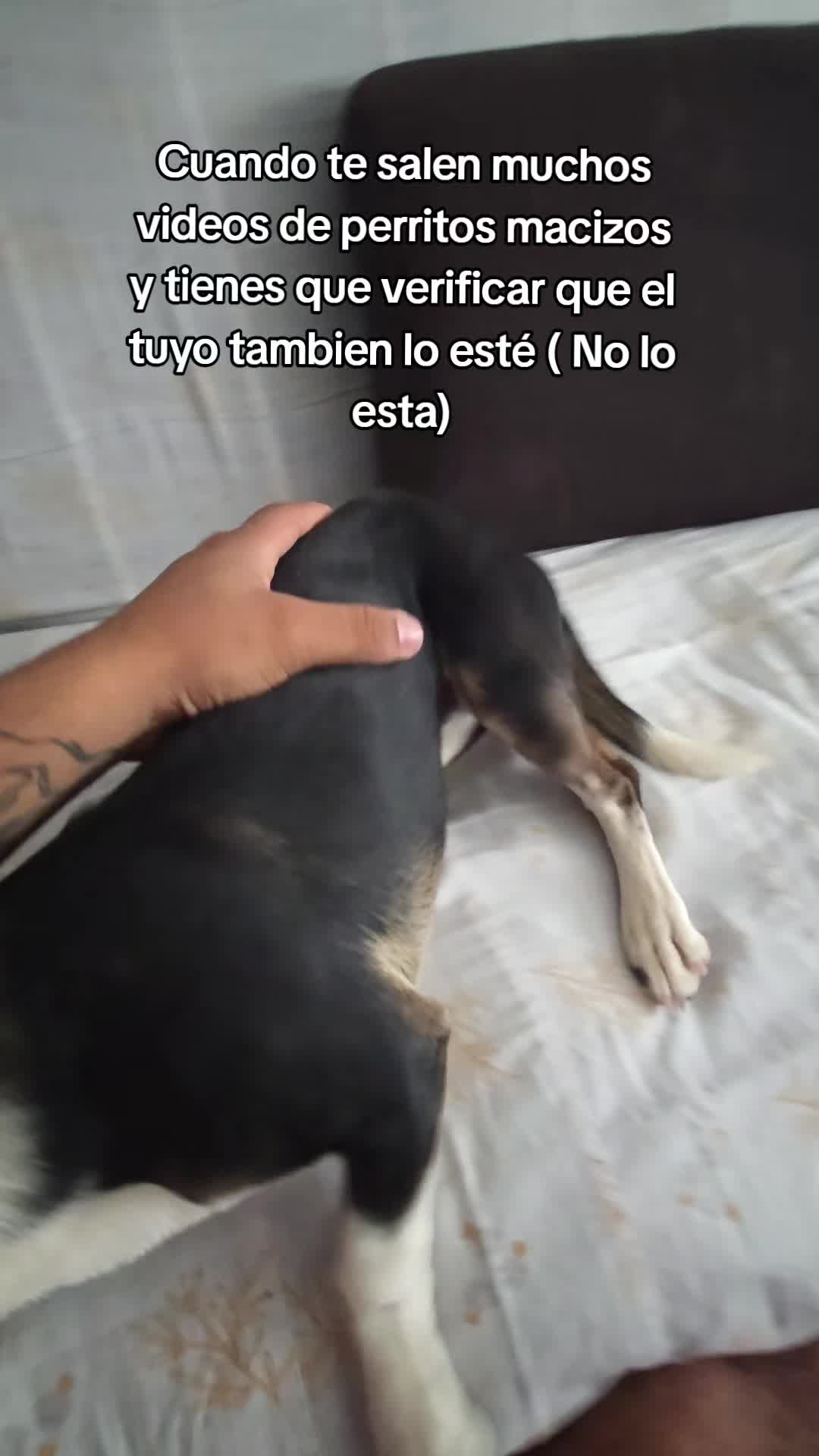 @Alex Salda&ntilde;a