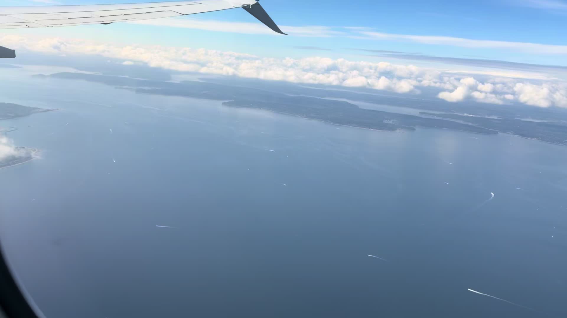 @kiinani