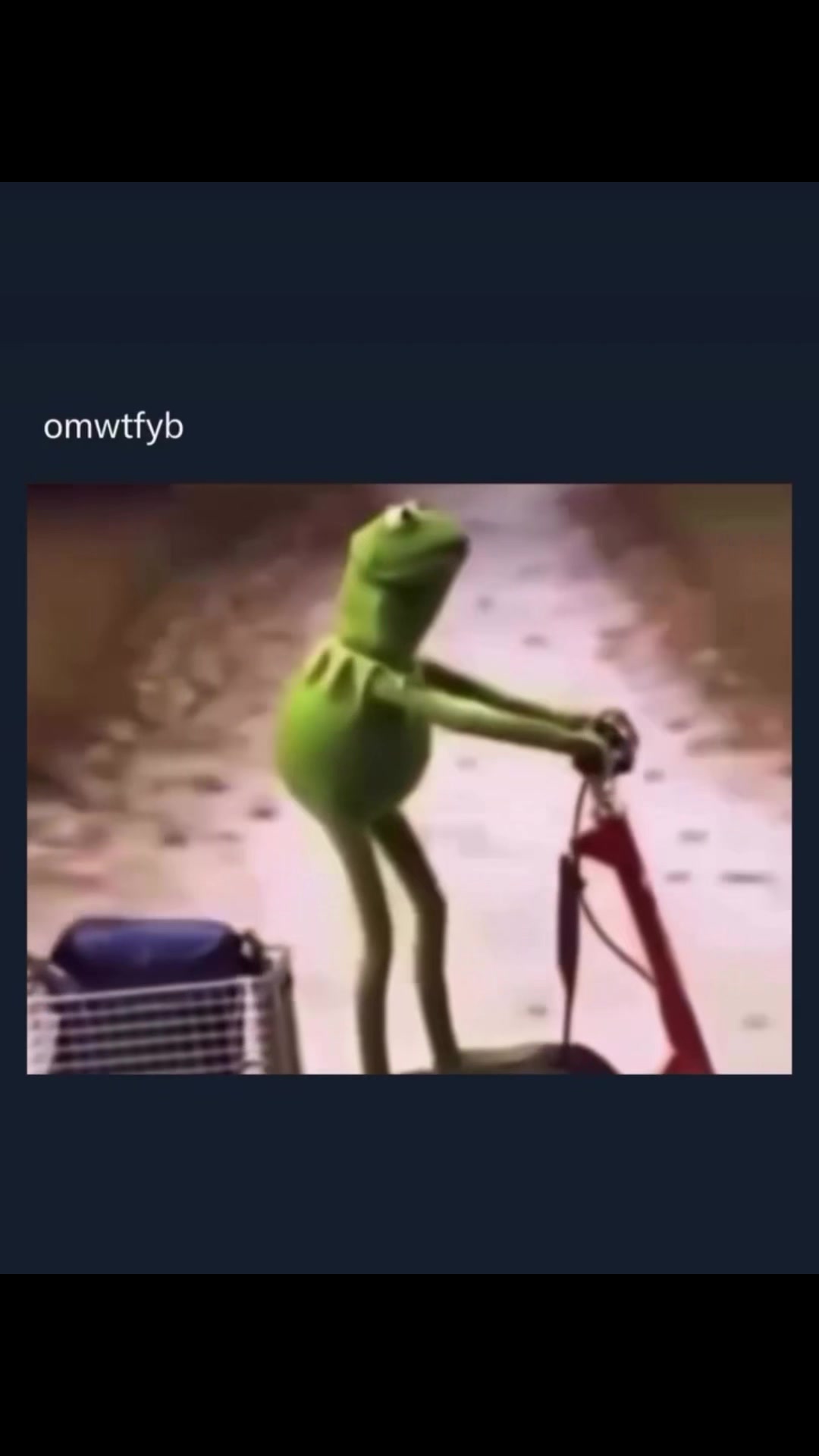 @Ci$qo305