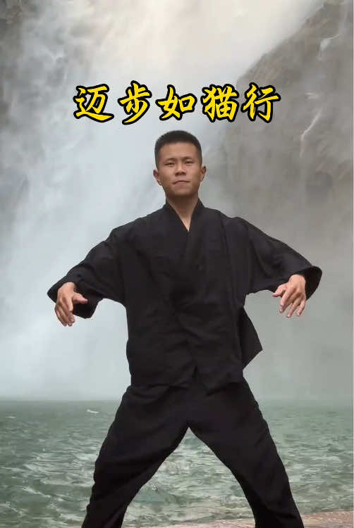 @taichituan