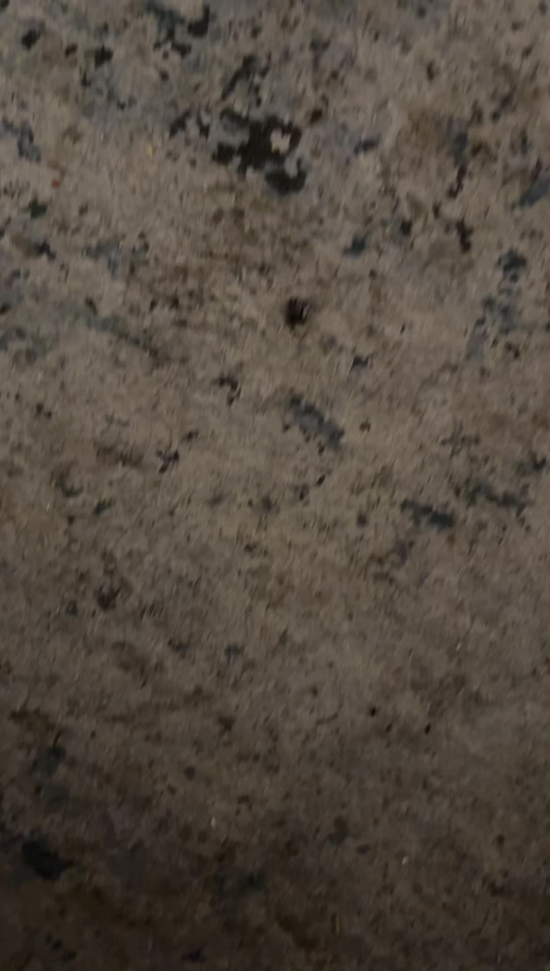 @catwithac27