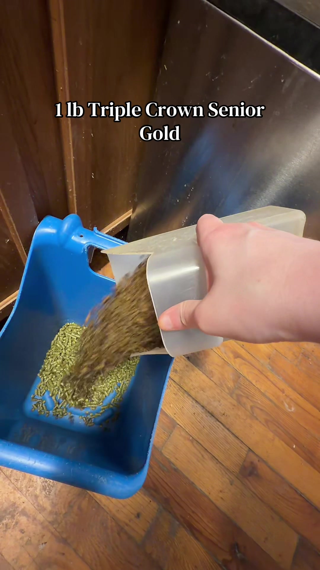 @Kayla