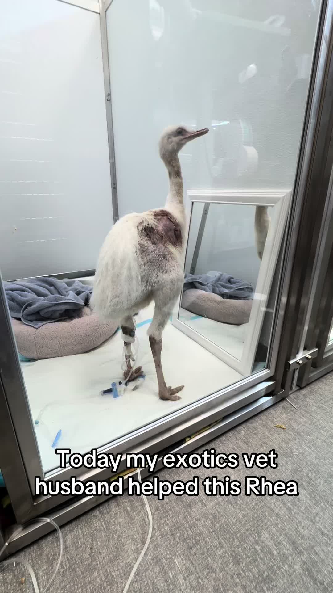 @ExoticsVetsWife