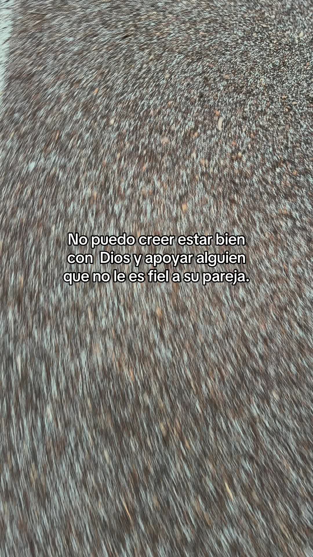 @hadadeletras