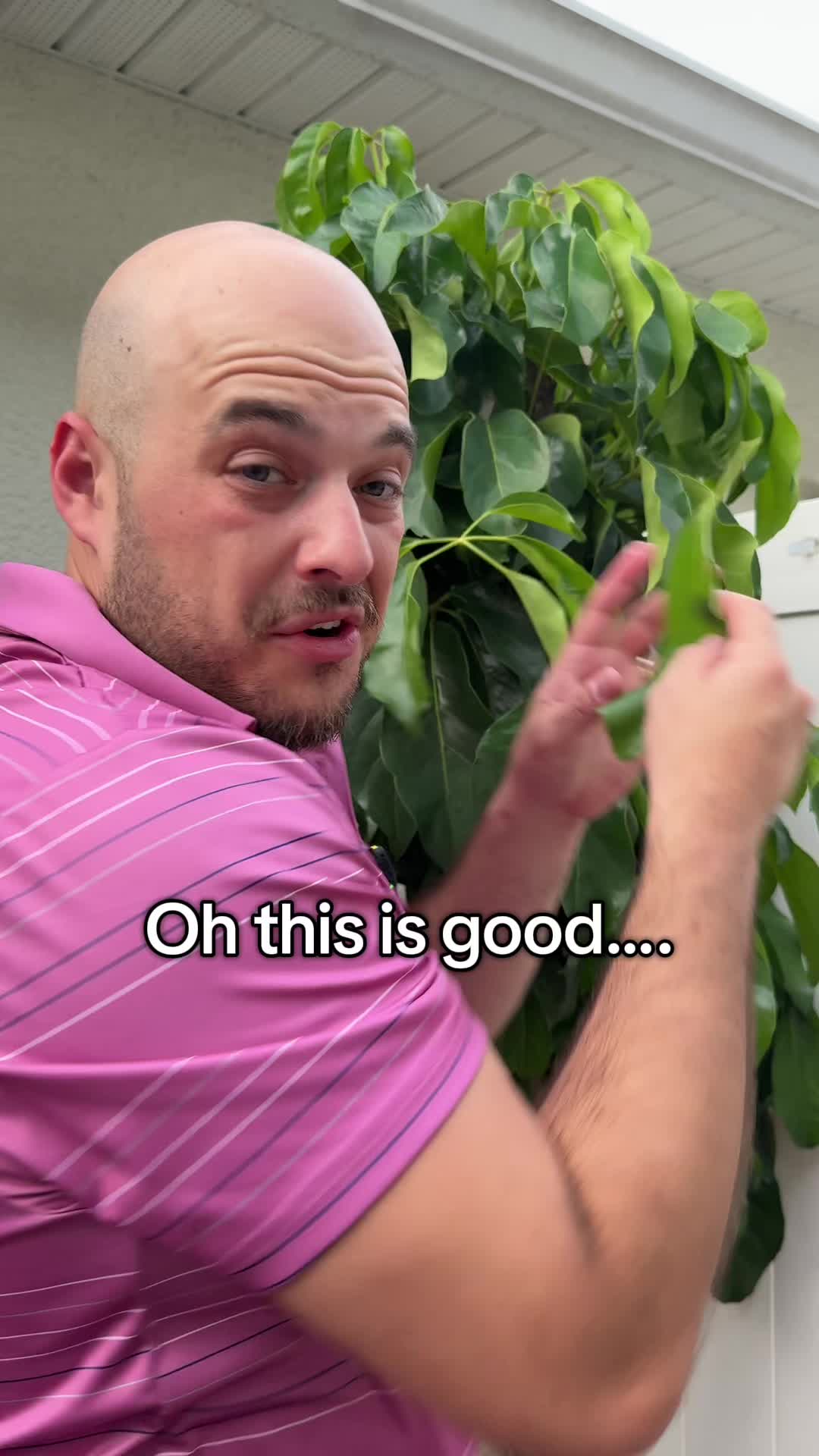 @Christopher_Finds