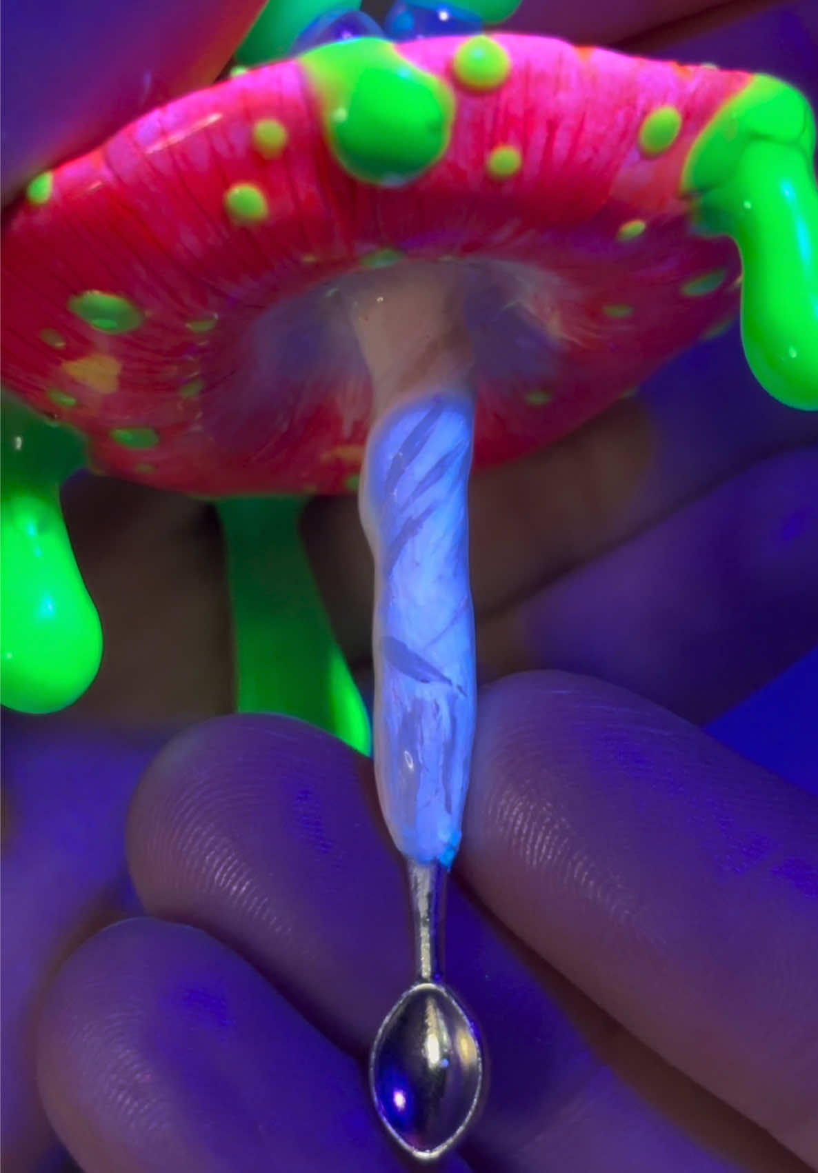 @Kylie 🍄🫶🏻🌈