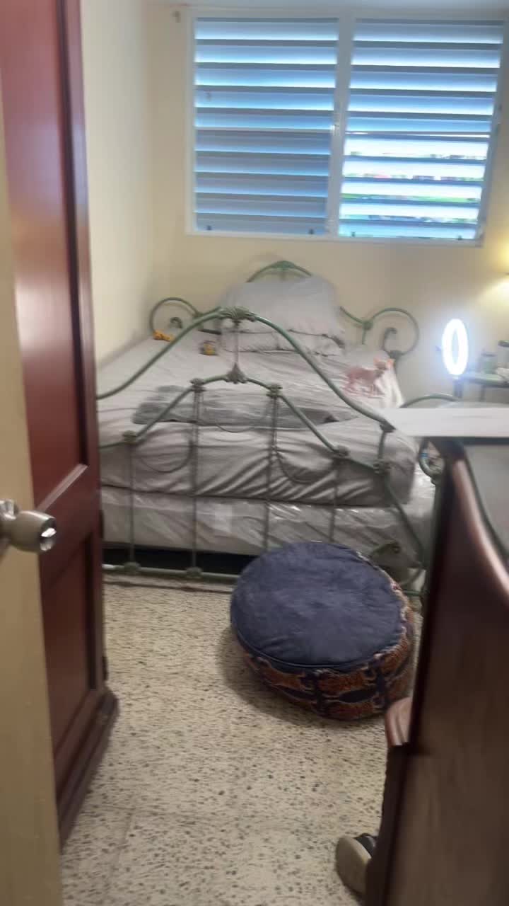 @mini.mew.offical