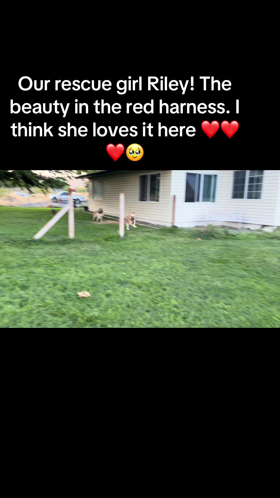 @WollamFarm