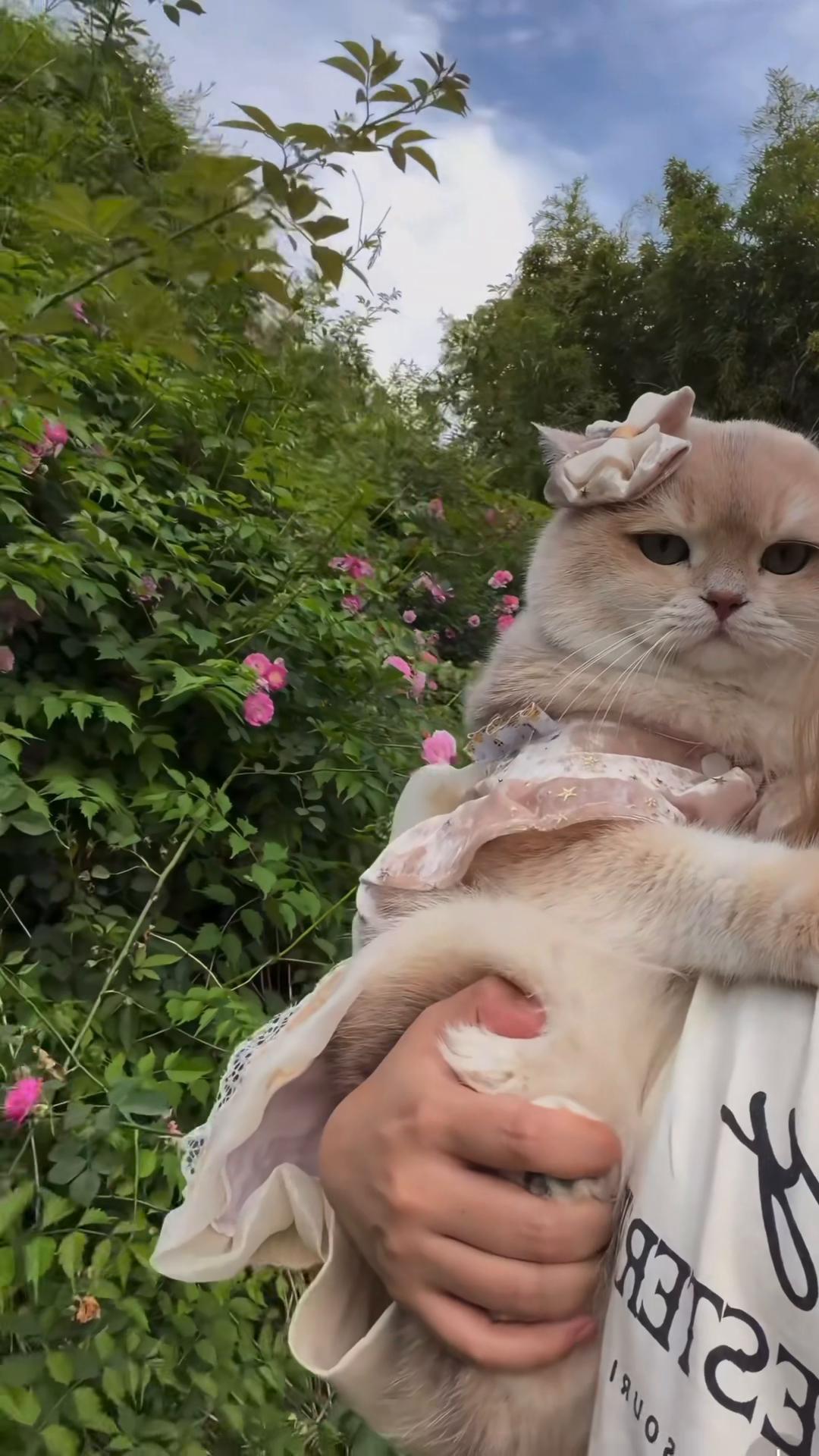 @My Daily Dose of Aww