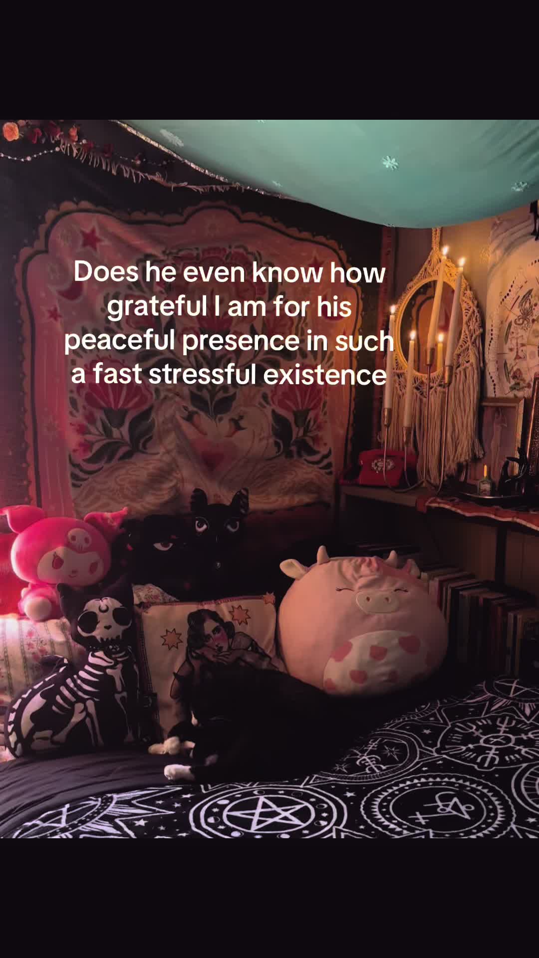 @𝒆ⓛ&alpha;𝒾ℕ&alpha;.⋆