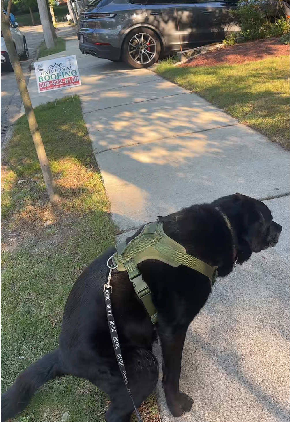 @rubenblacklab