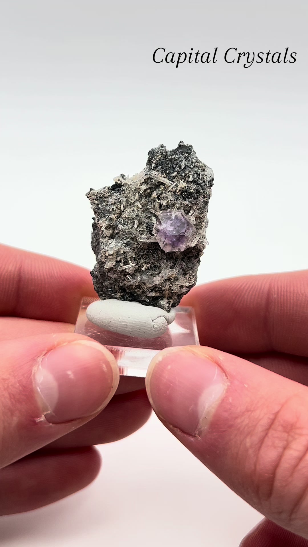@Capital Crystals | Minerals