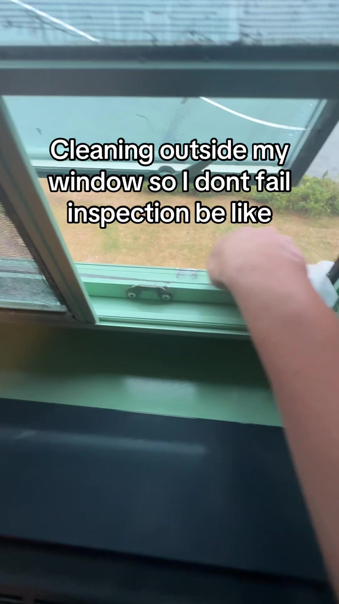 @⦻  Scruffers ⦻