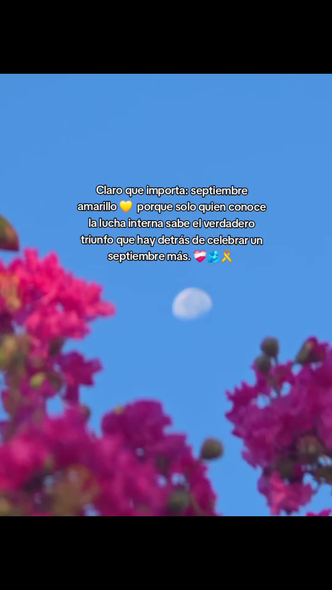 @🖤🦋FER_BRIZZO LA LOBA 🐺☀︎︎☽︎