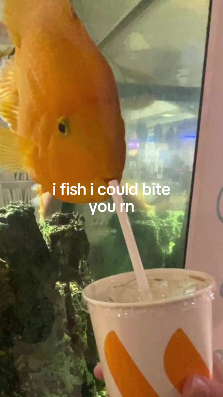 @Doug funny