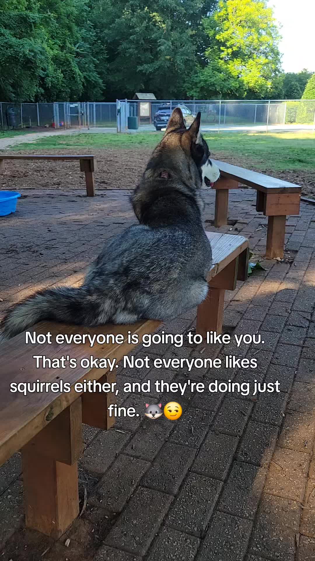 @the Hussey Husky ❌️