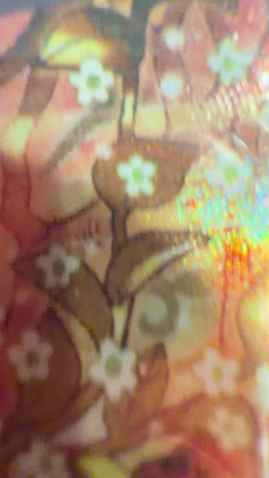 @VeeFamRipzz