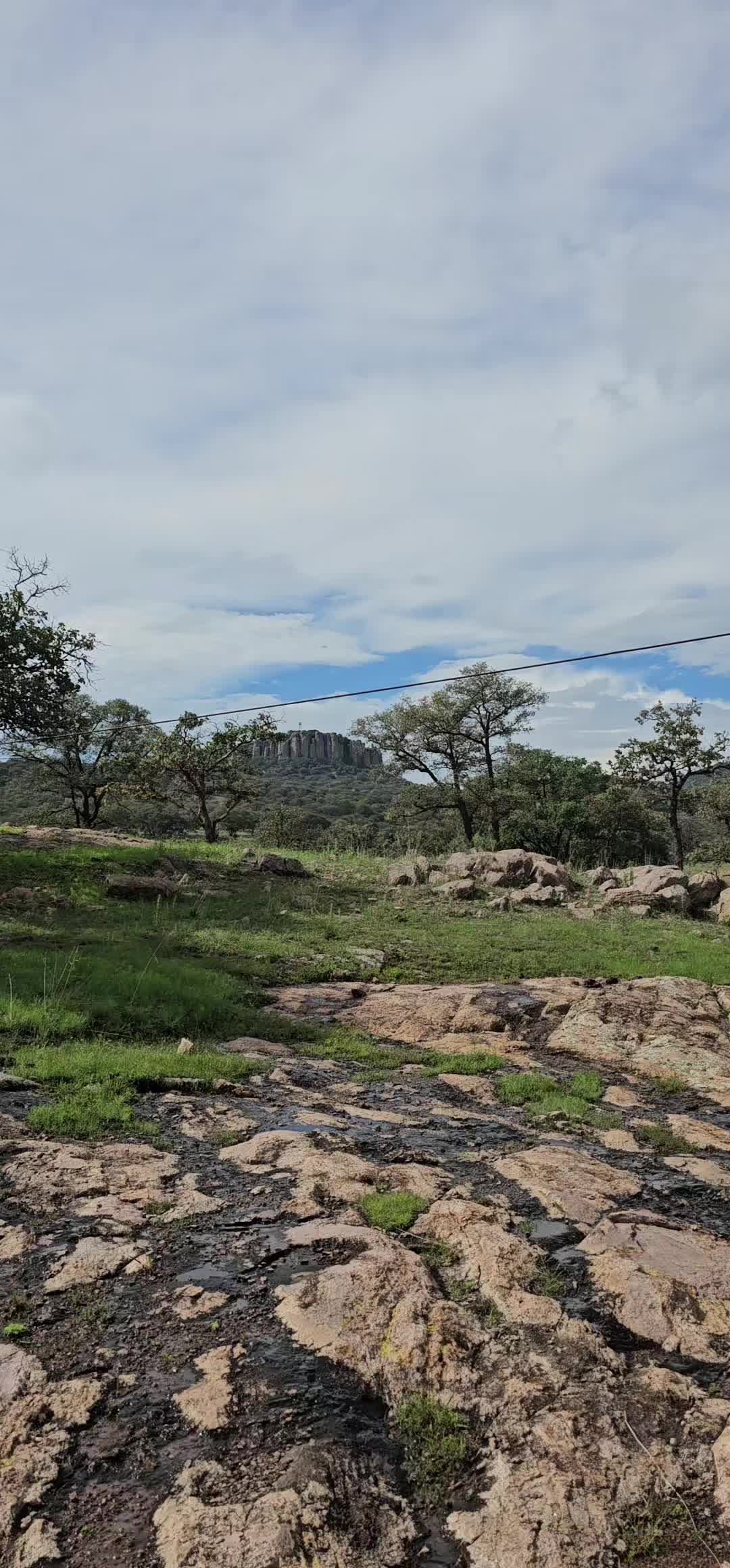 @memohuerta