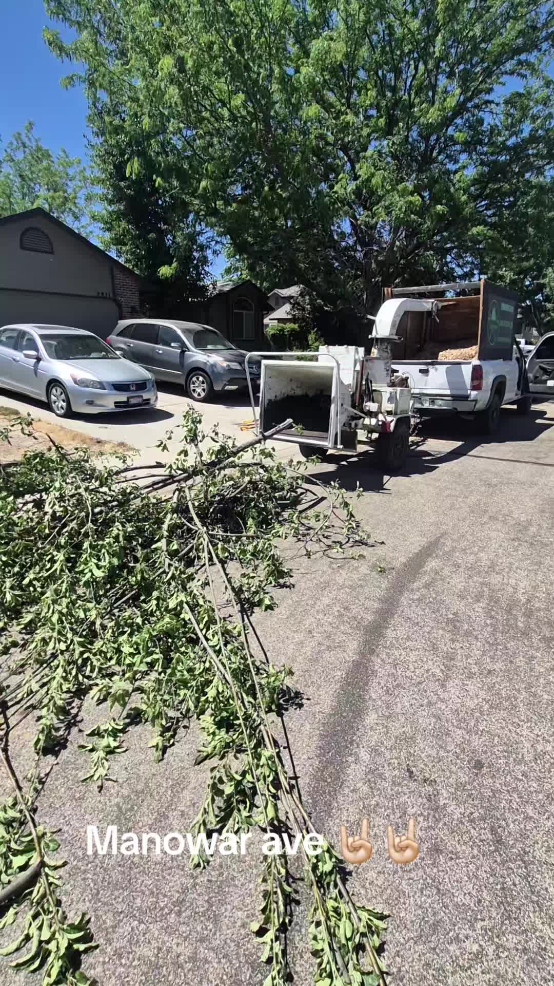 @LoyalTreeCare
