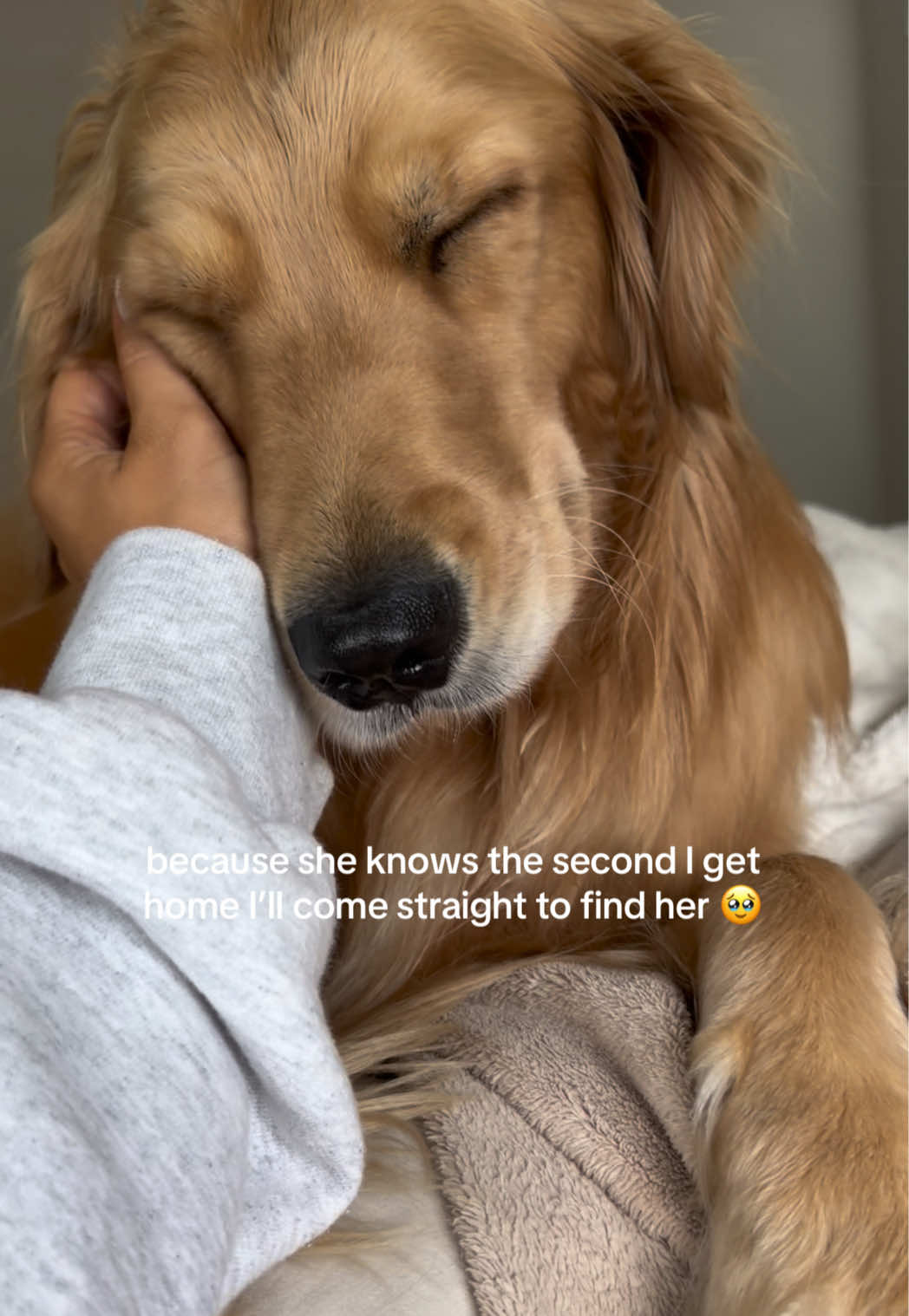 @novathegoldenn
