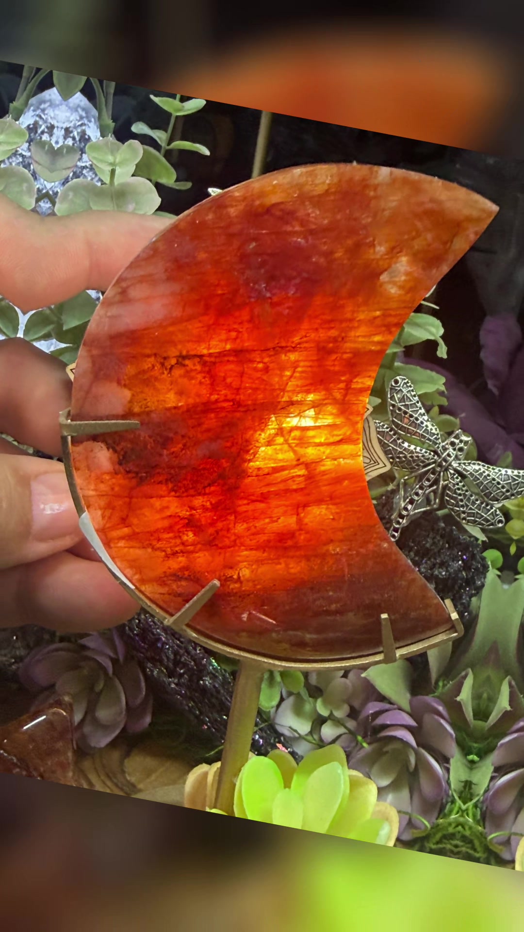 @The Crystal Parrot Crystals