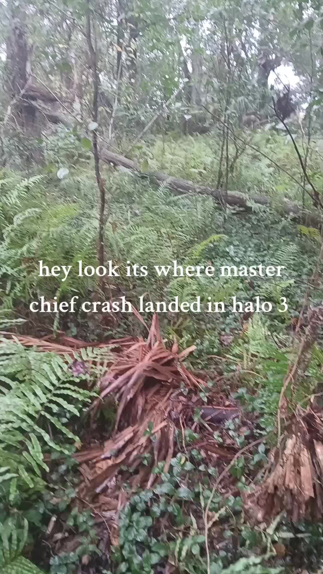 @MASTERCHIEFG0KU