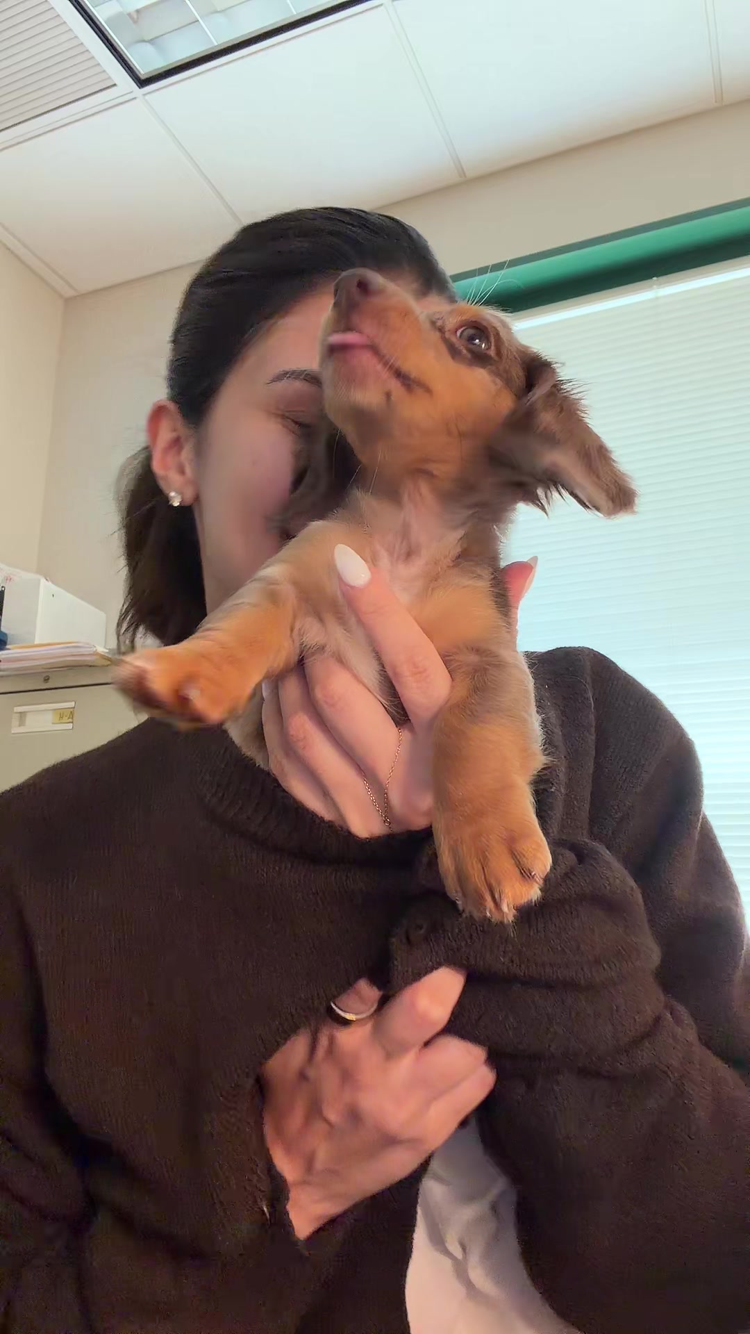 @Oli the Mini Doxie