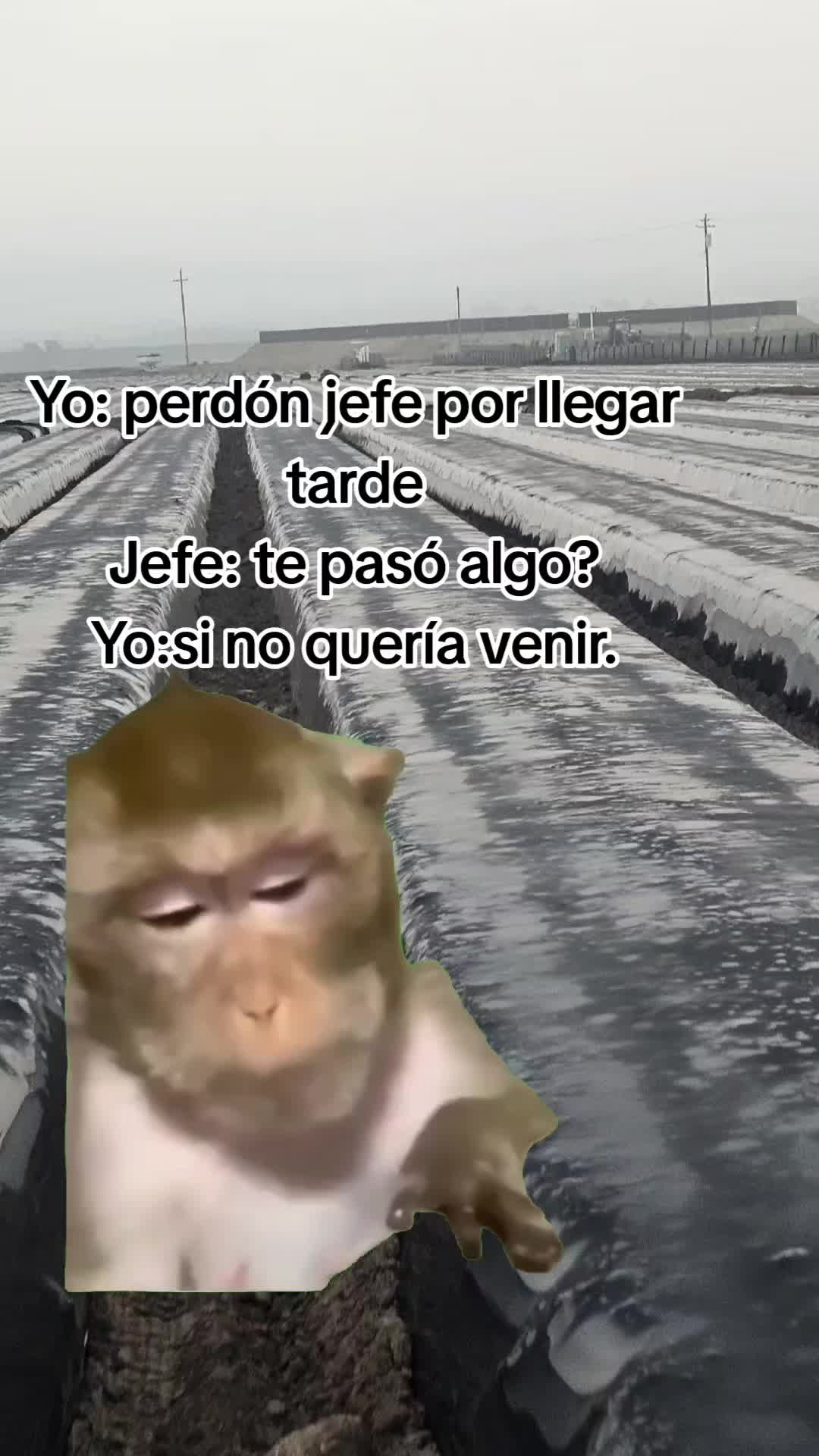 @🇲🇽🐦⬛🪺VASQUEZ🚚🌪💎