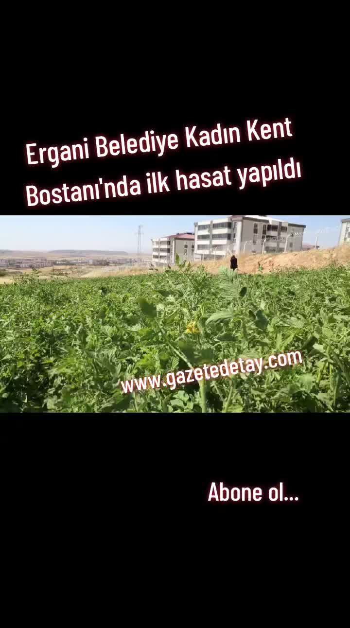 @Gazete Dty www.gazetedetay.com