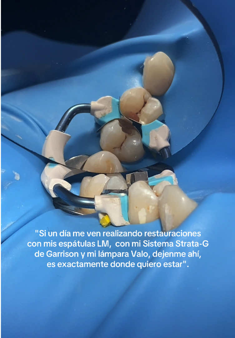 @dr.samuelsanjuan