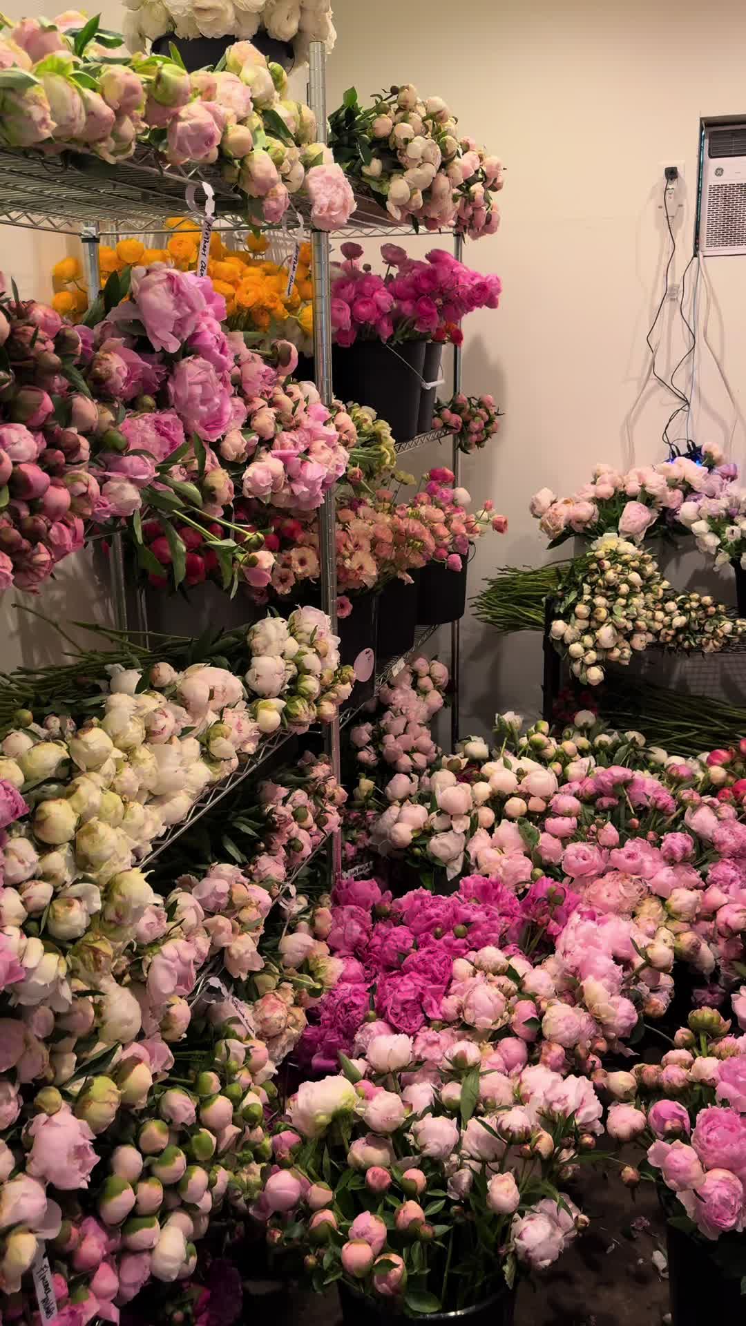 @solo.flowers