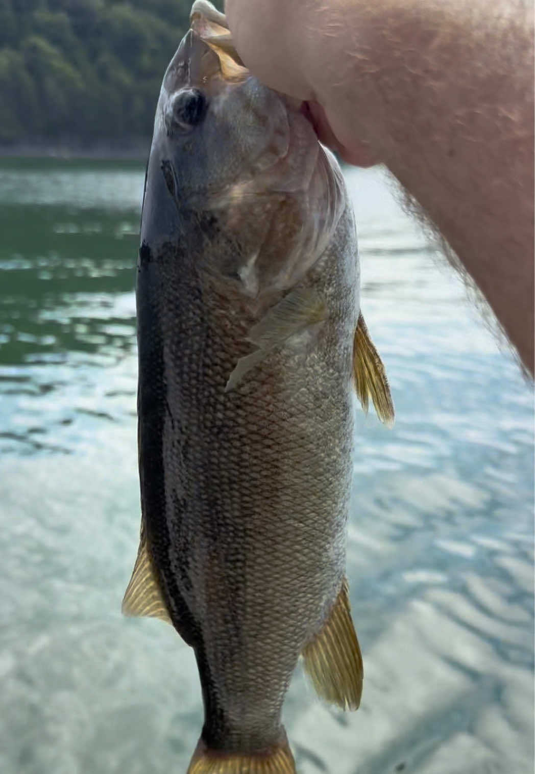 @Kentucky&ensp;Fishing