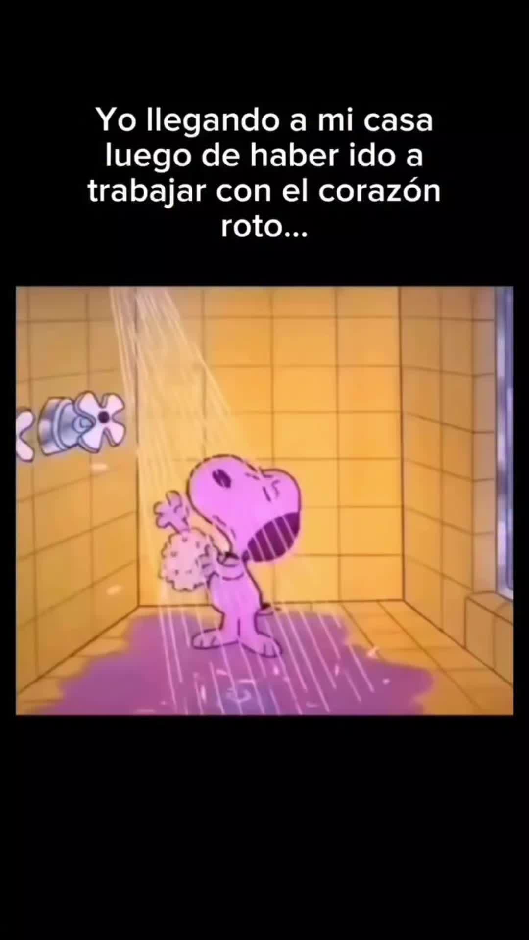@Alexander✅️