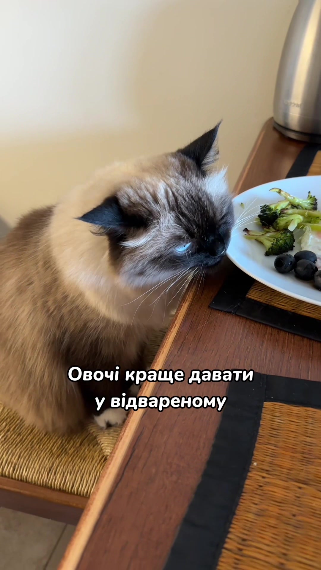 @Місс КІСЯ