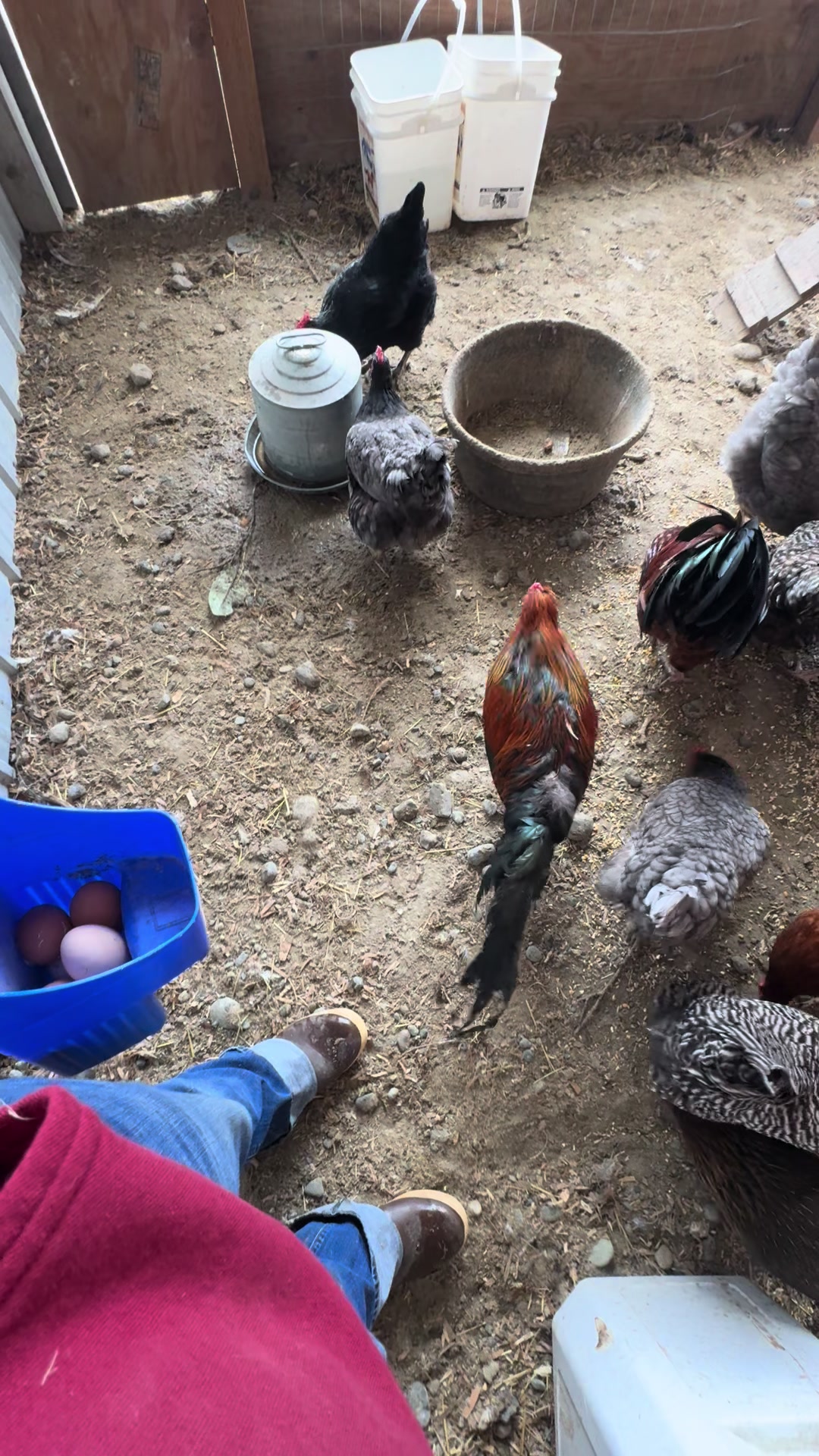 @Homebound Farm & Rescue