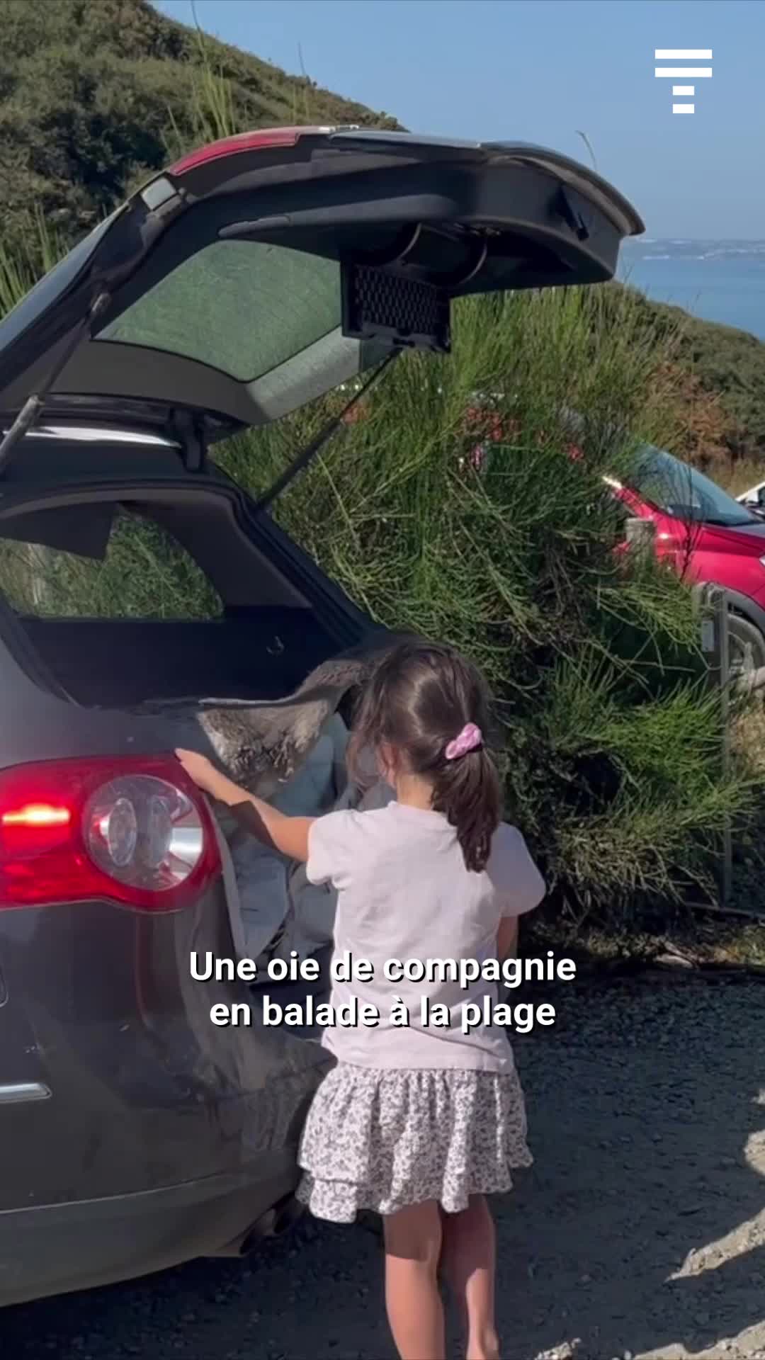 @Le Télégramme