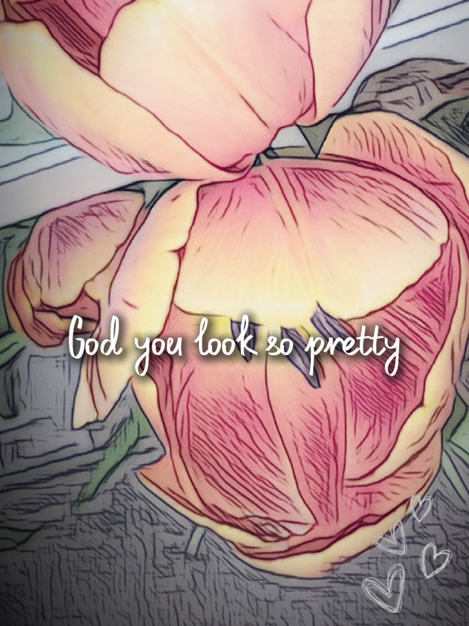 @Antisocial Penguin🐧