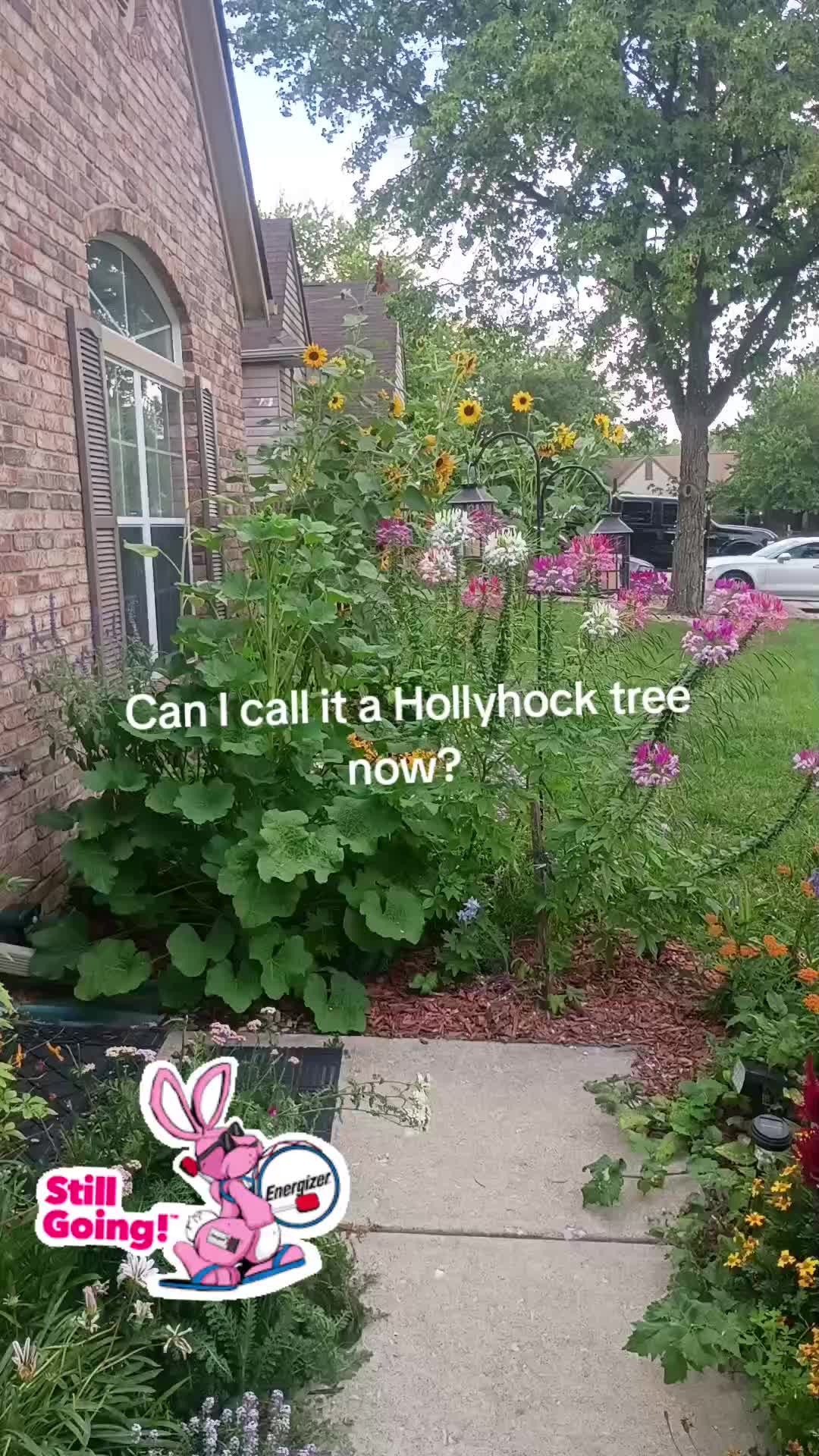 @O.G.