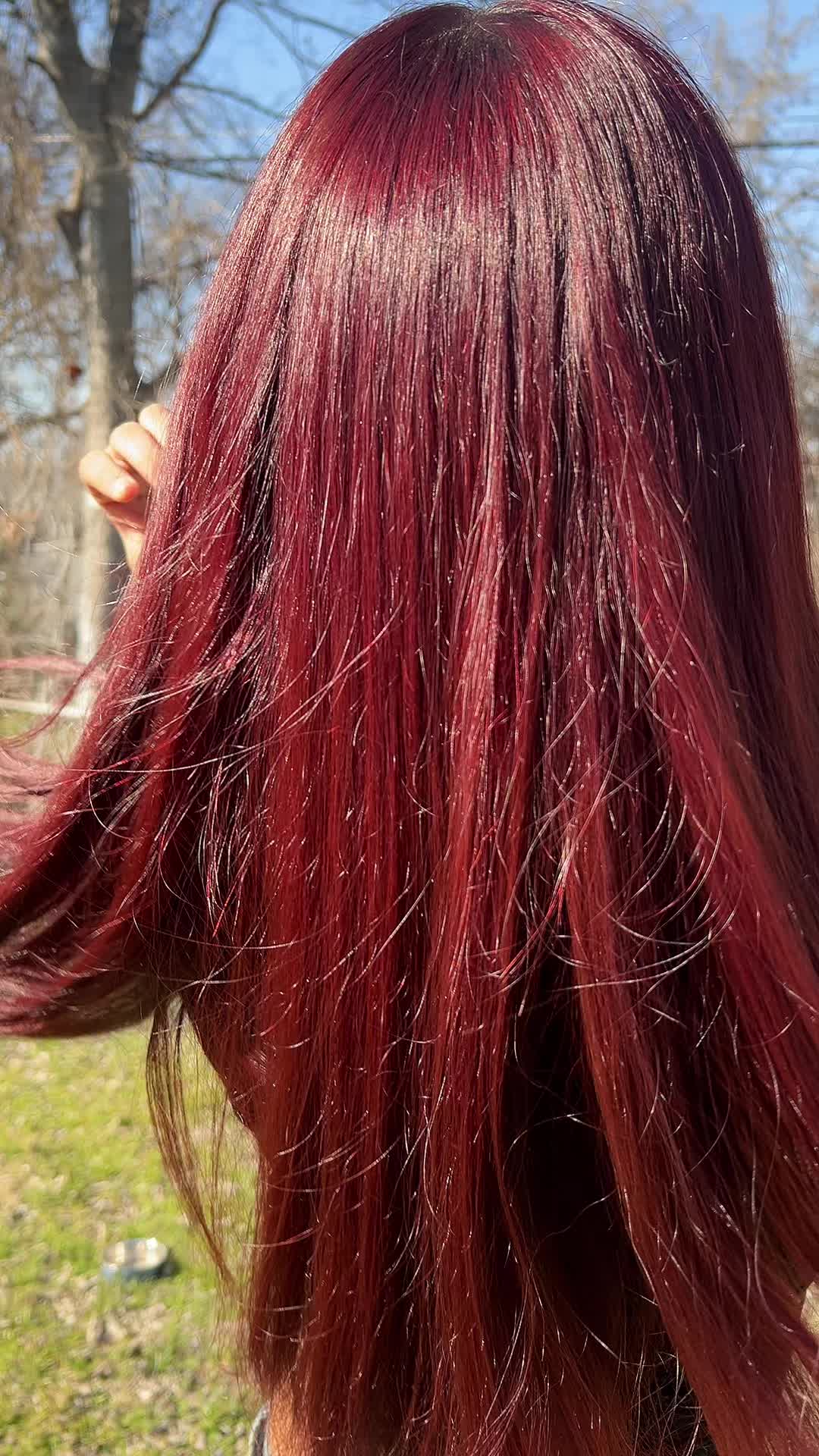 @dcariixz