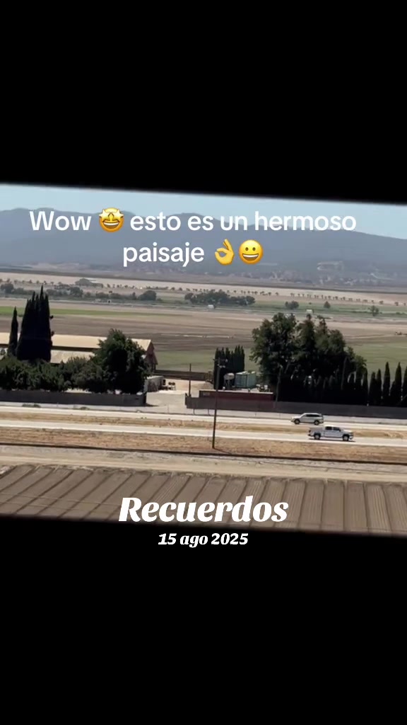 @Chela A367