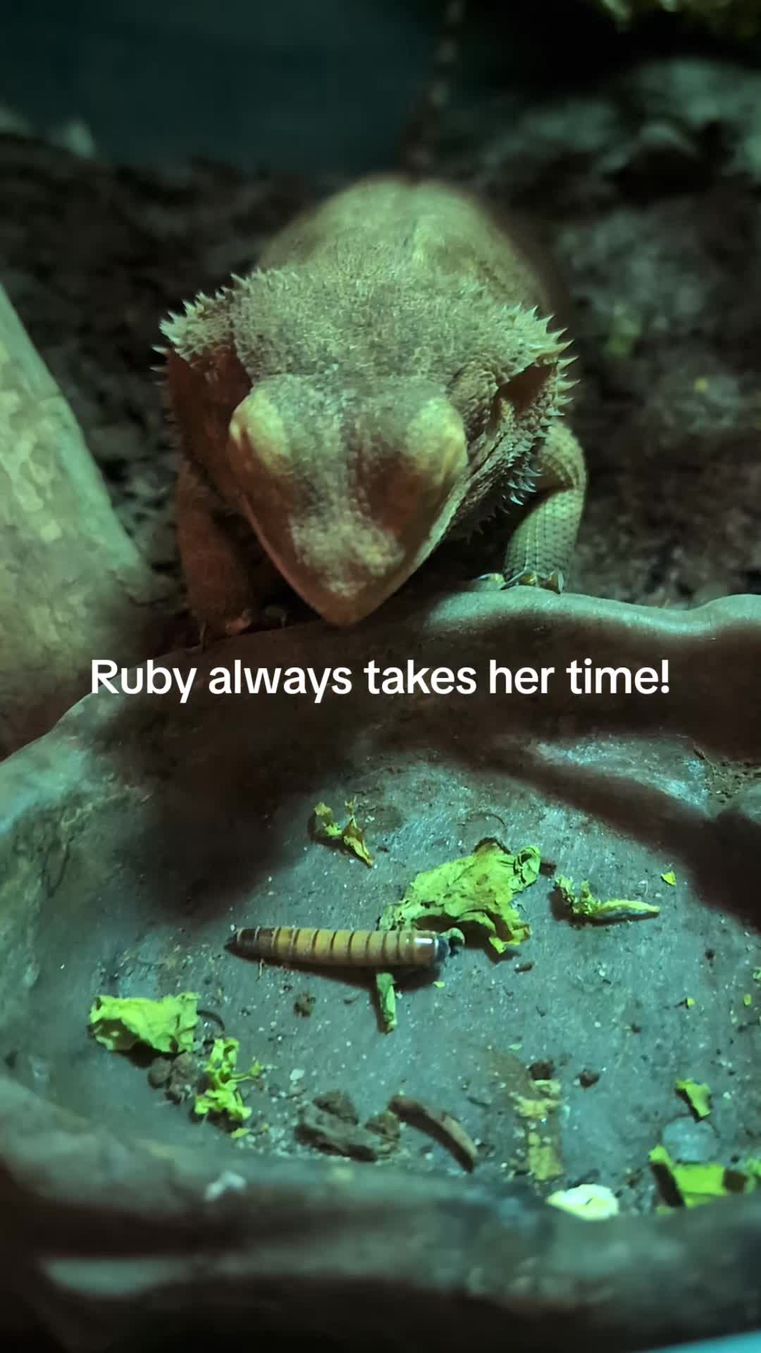 @Odehappy30