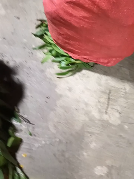 @Nguyễn Thị Hải Yến