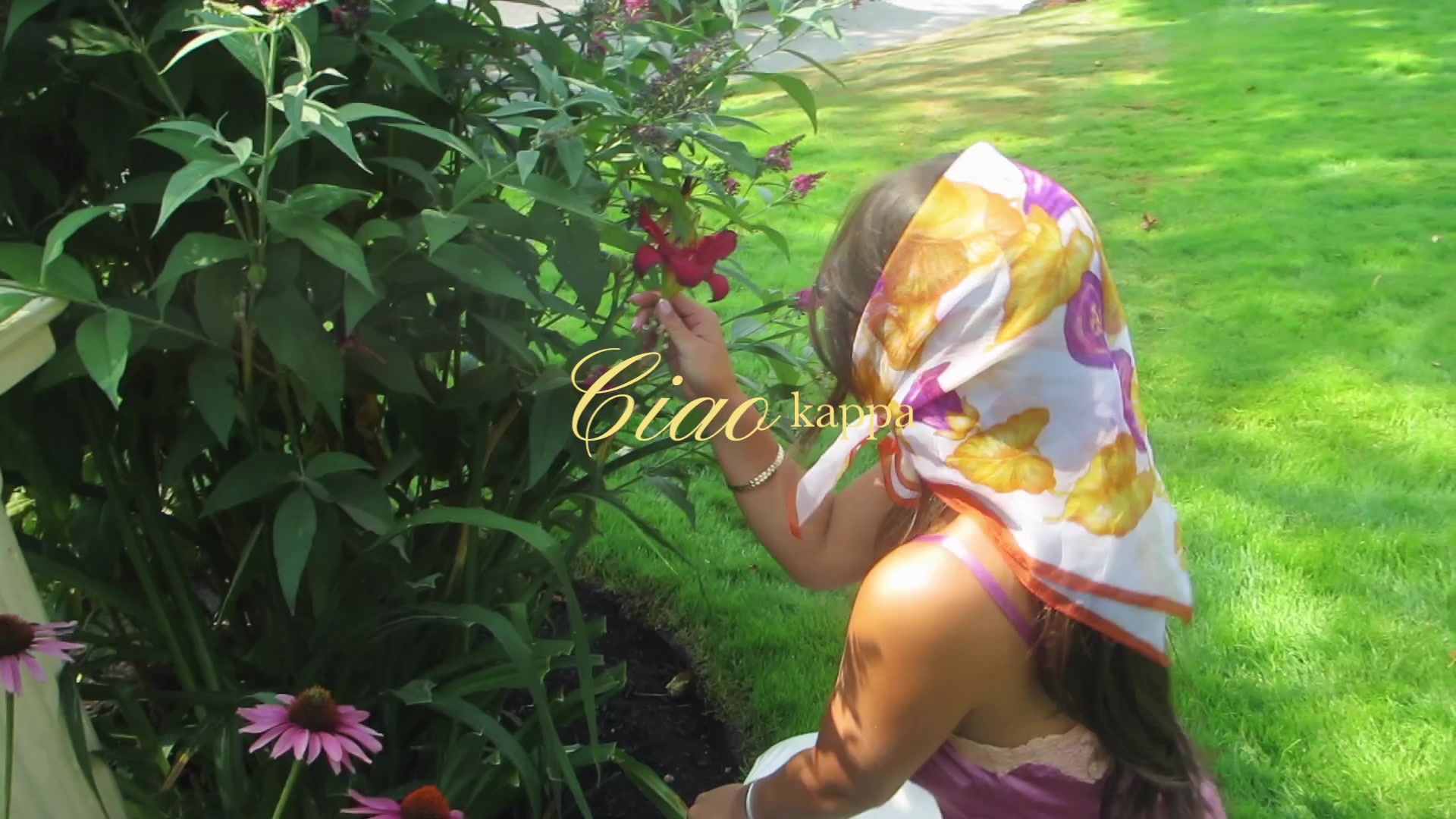 @WSU KAPPA KAPPA GAMMA