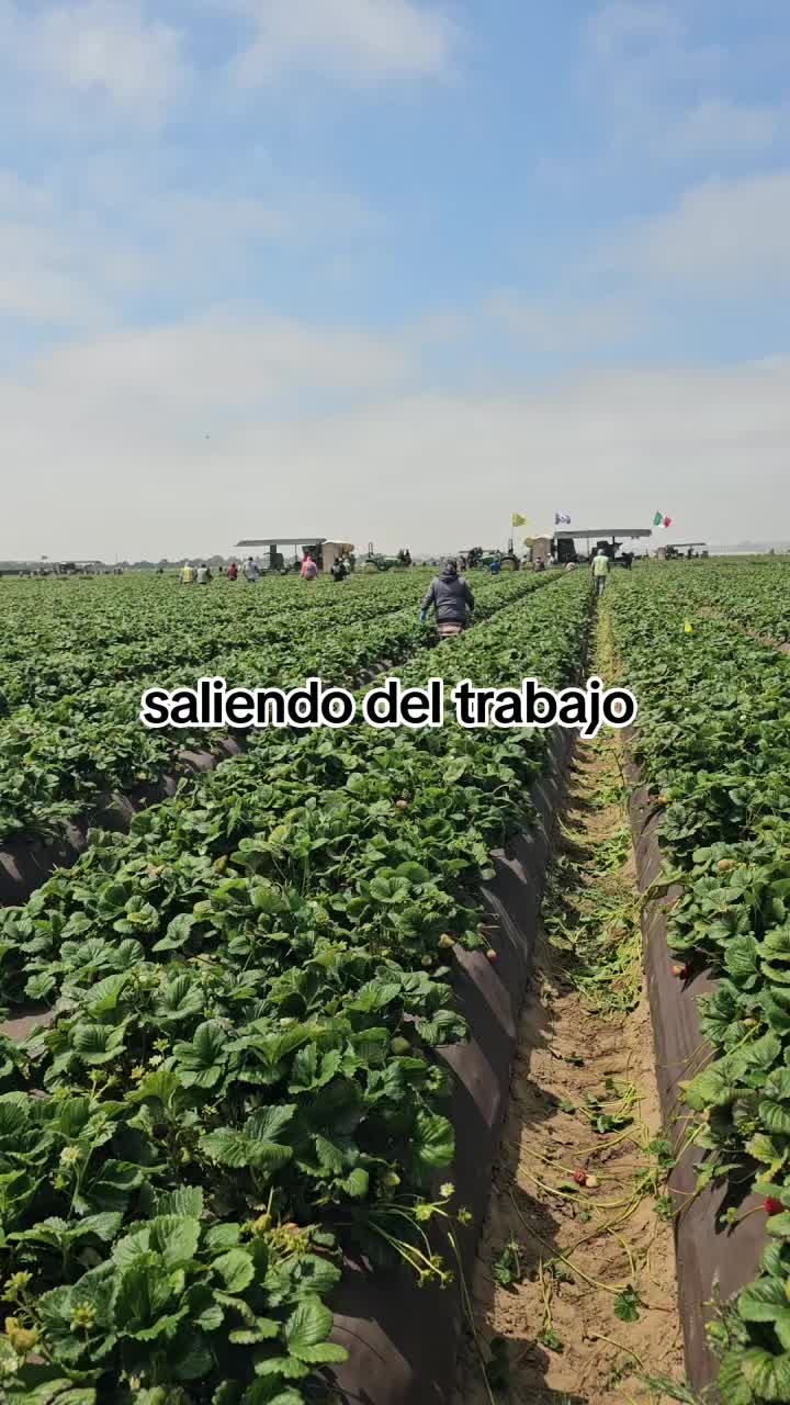 @🇲🇽🐦&zwj;⬛🪺VASQUEZ🚚🌪💎