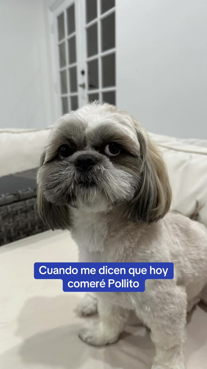 @Jennifer Cohen