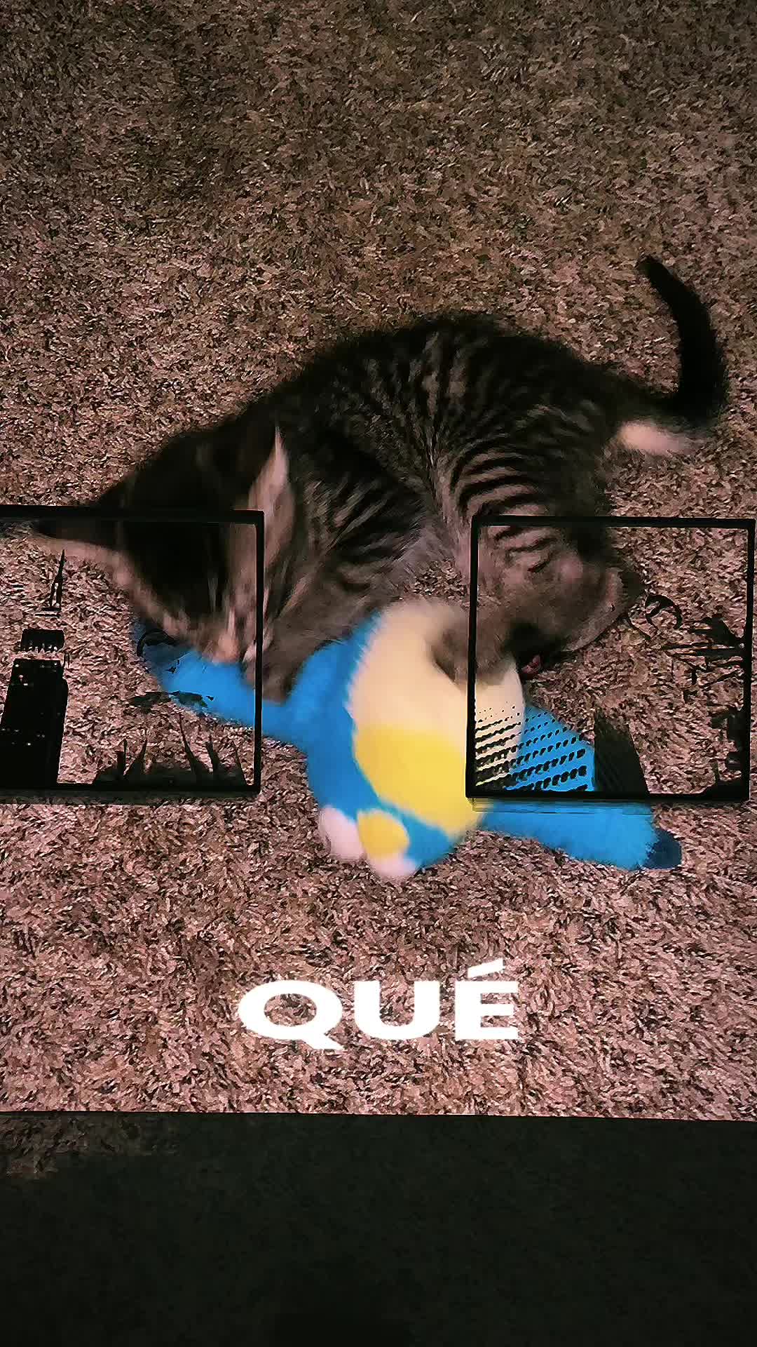 @tiko