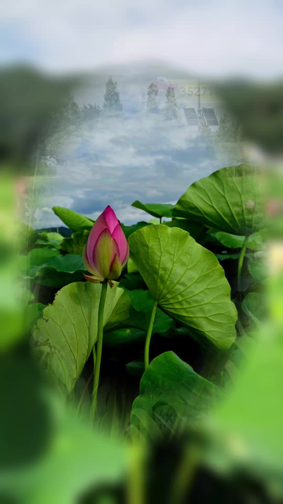 @âšïžðð«ì§ëì§ëâšïžðð«