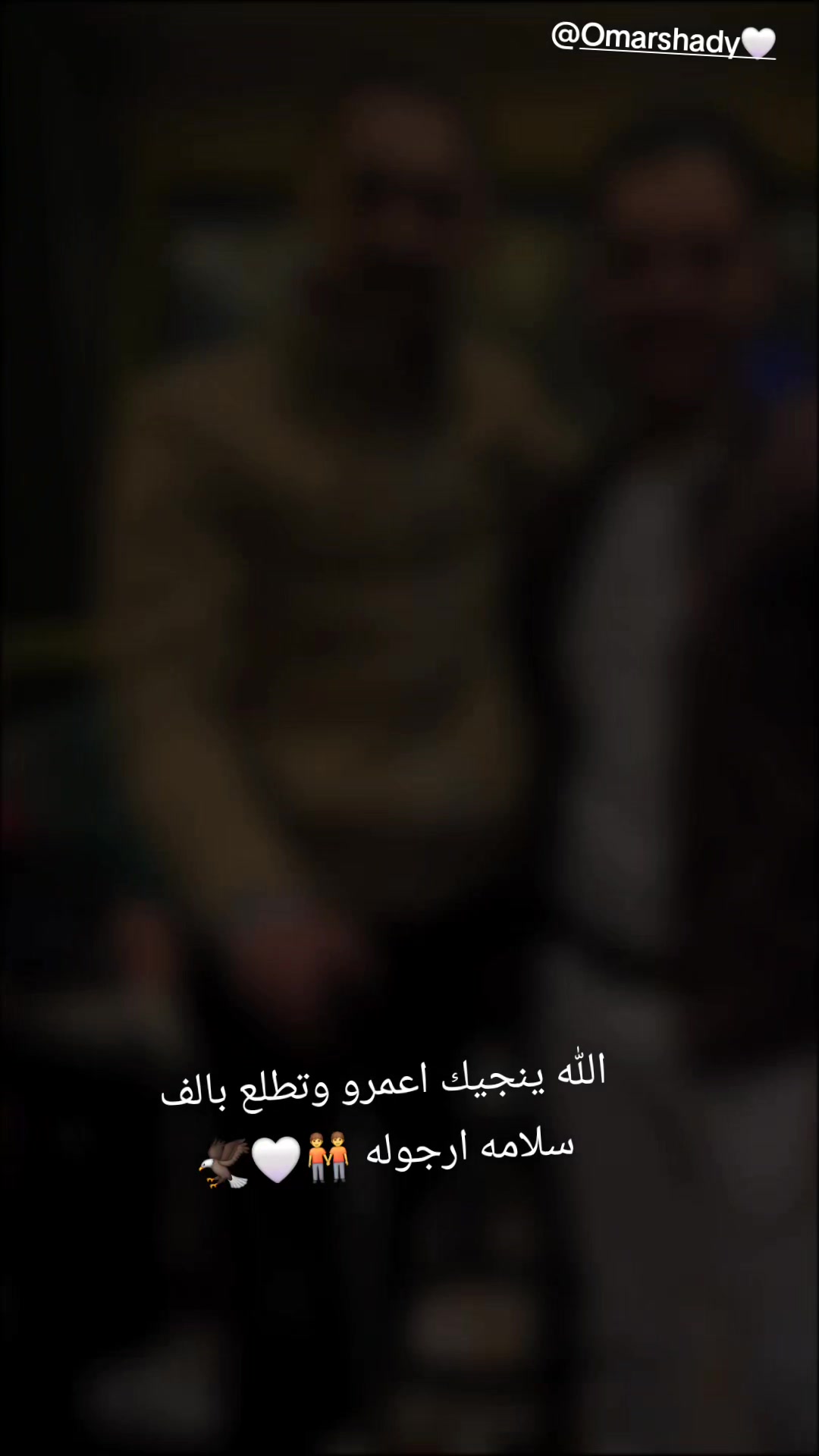 @زياد عبدالله 🐺🦅