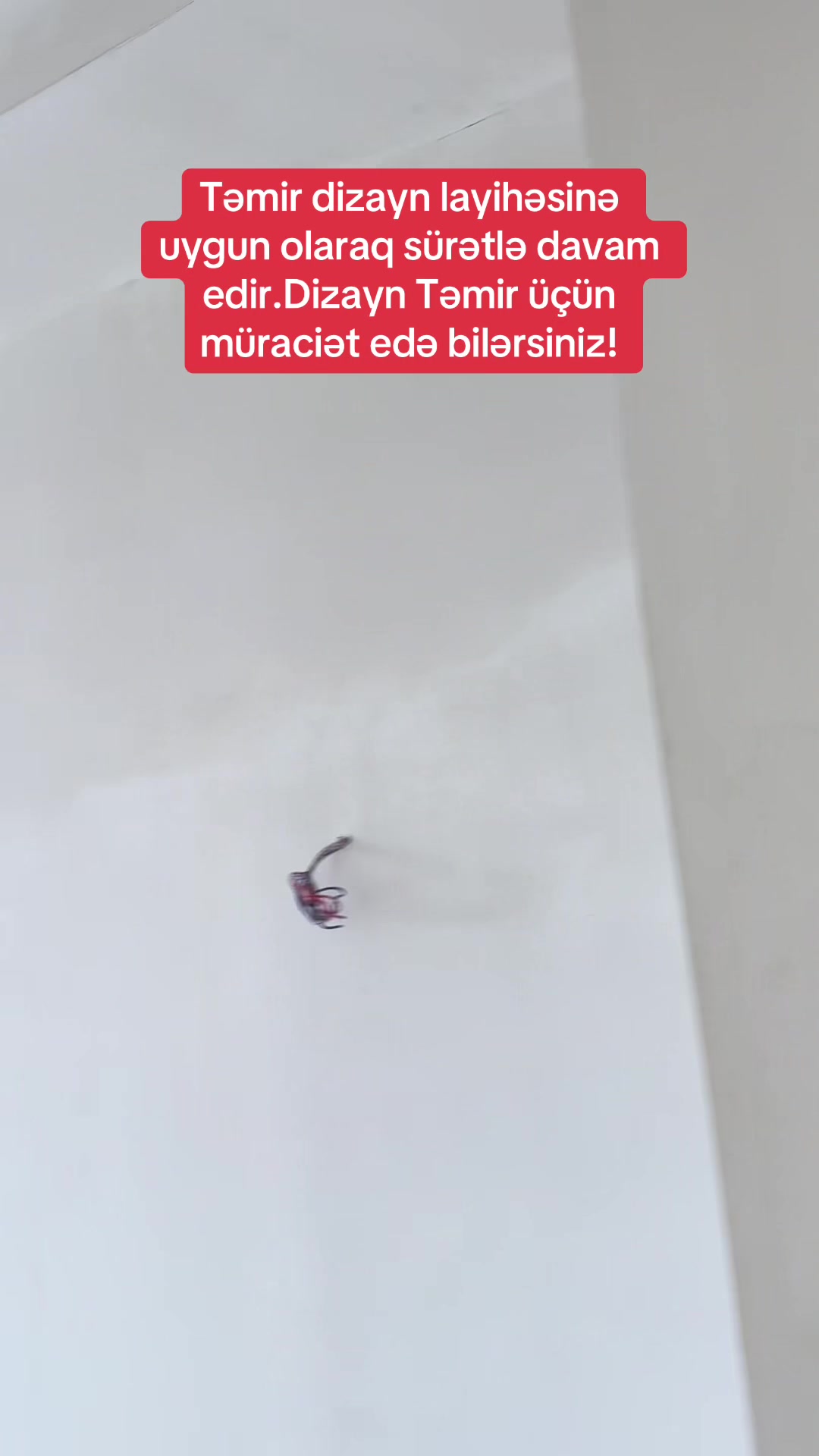@Emiliana_parati_zaqatala