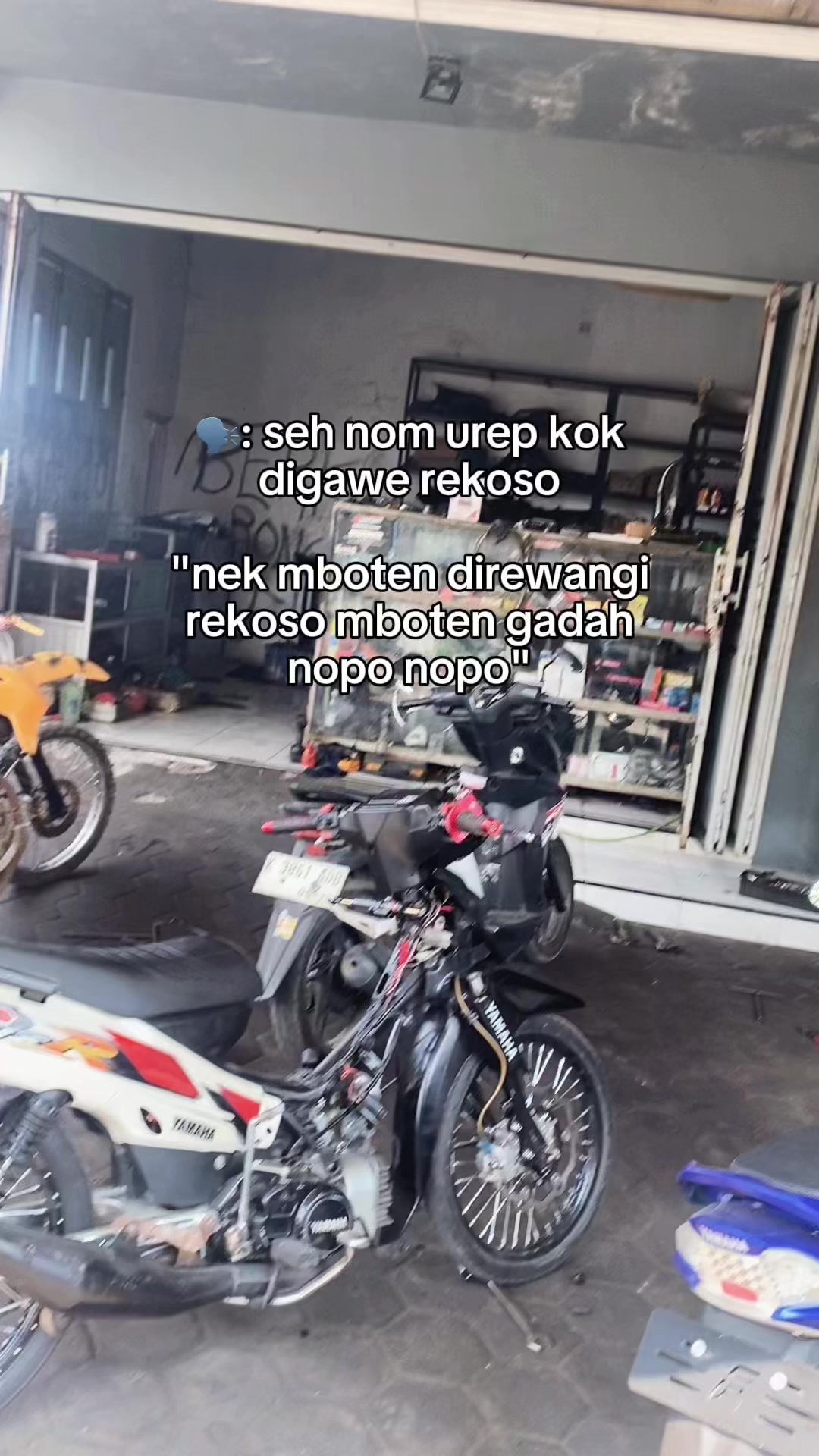 @DP24_Official.